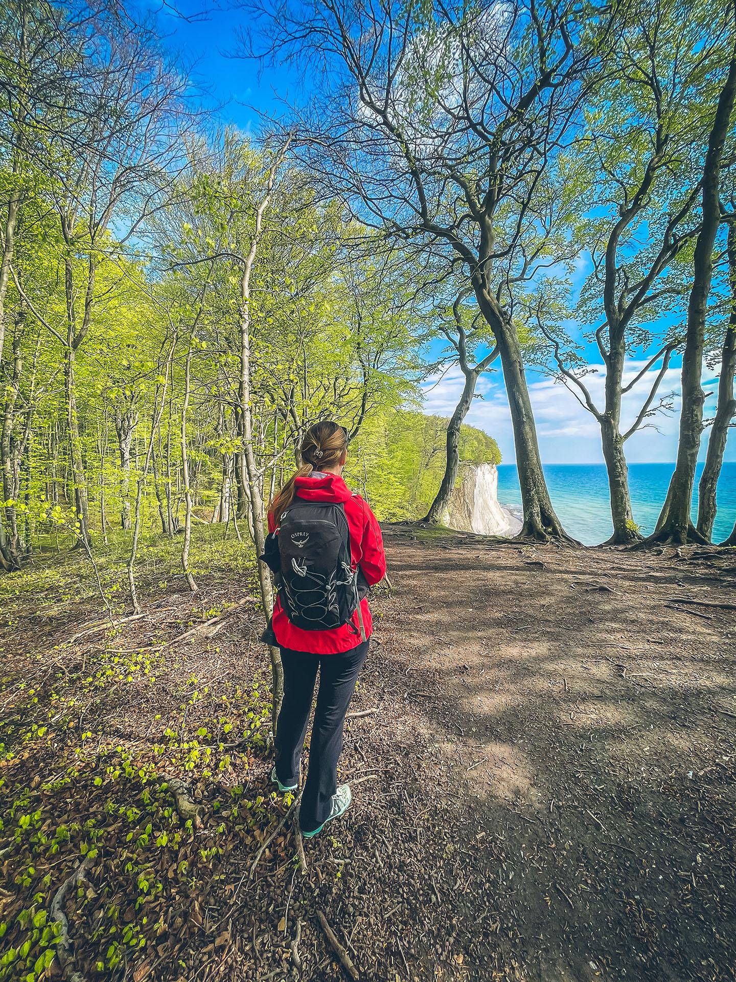 Jasmund Wanderfrühling Rügen