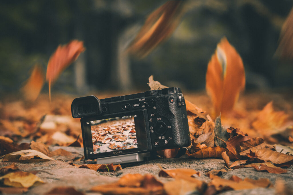 Kamera im Herbstwald