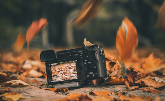 Kamera im Herbstwald